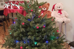 rigas_komercskolaziemassvetku_eglite_2016