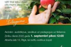 zinibudiena_0