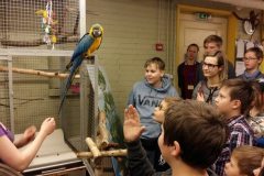 4-rigas-komercskola-ciemos-pie-rigas-zoo-2017-04-07